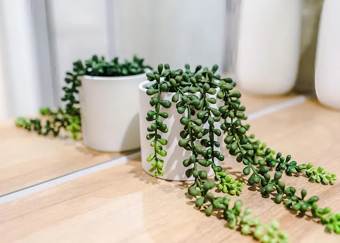 Centre Flat With A Terrace 利兹