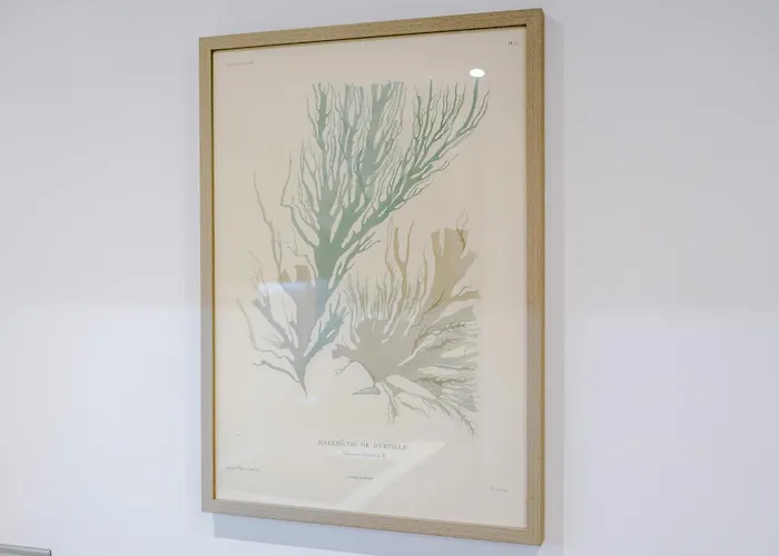 Centre Flat With A Terrace *