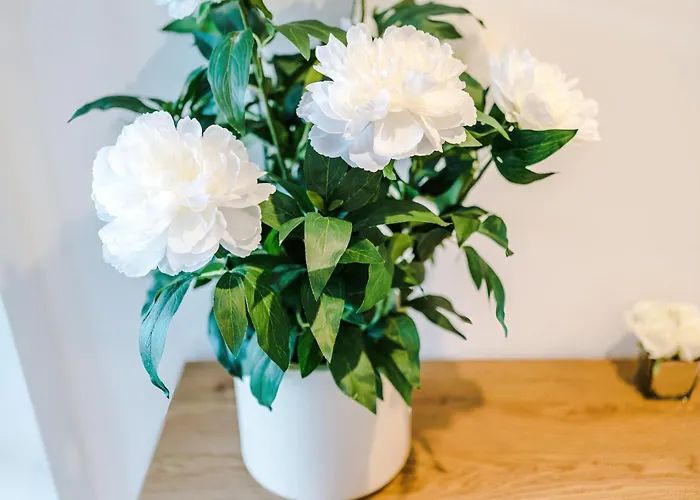 Апартаменти Centre Flat With A Terrace Лідс