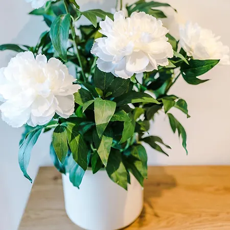 Apartamento Centre Flat With A Terrace Leeds (West Yorkshire)